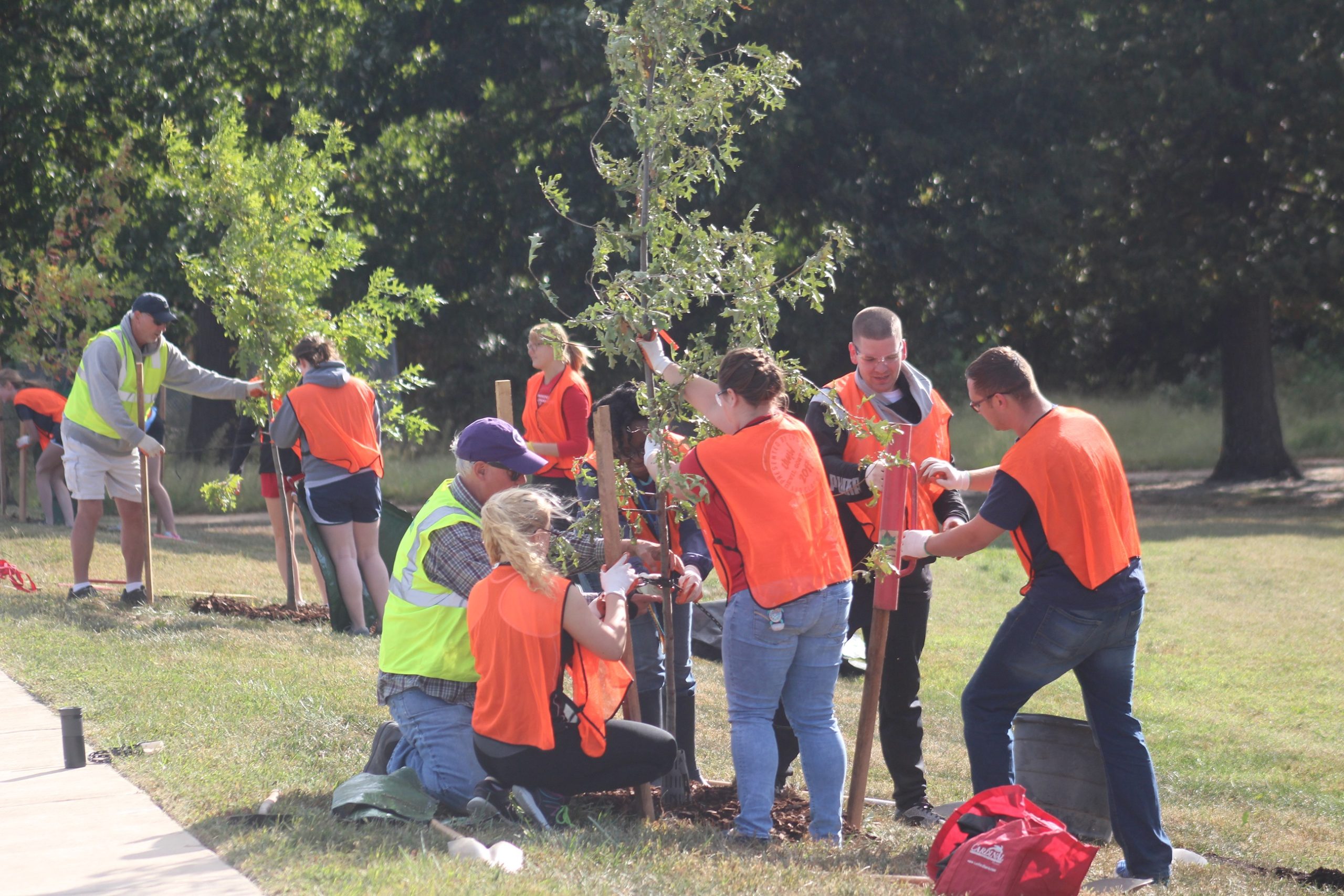 Tree planting Fall Hill Ave 9-31-17 (8) 15-02-2022 09_57_04_790